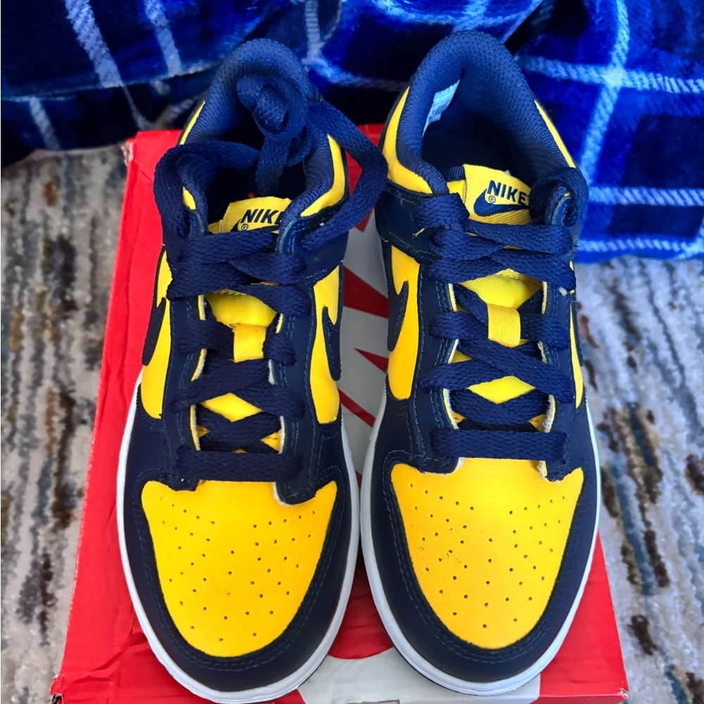 Nike Michigan Dunks - Picture 2 of 6